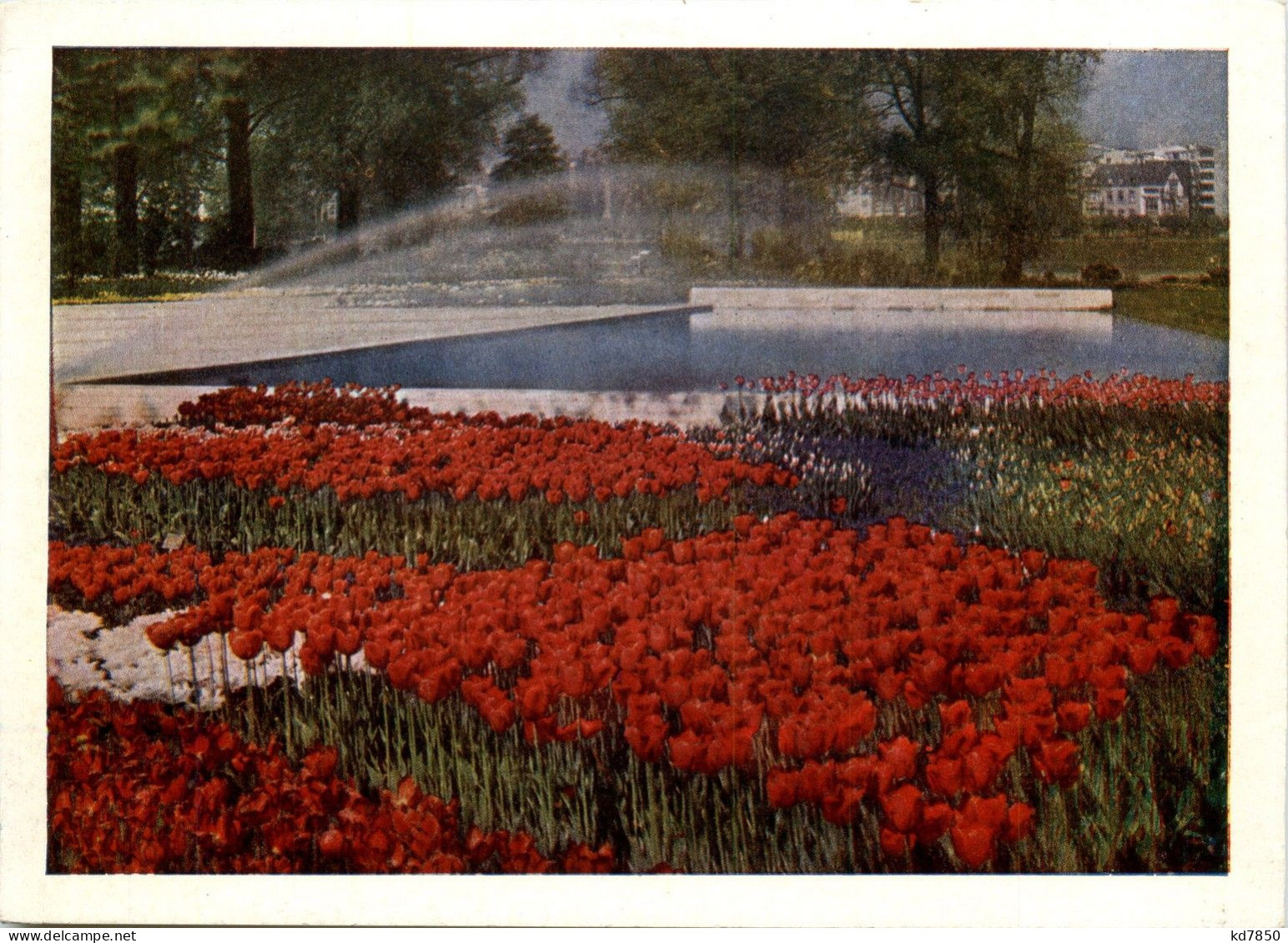 Bundesgartenschau 1957 Köln - Köln