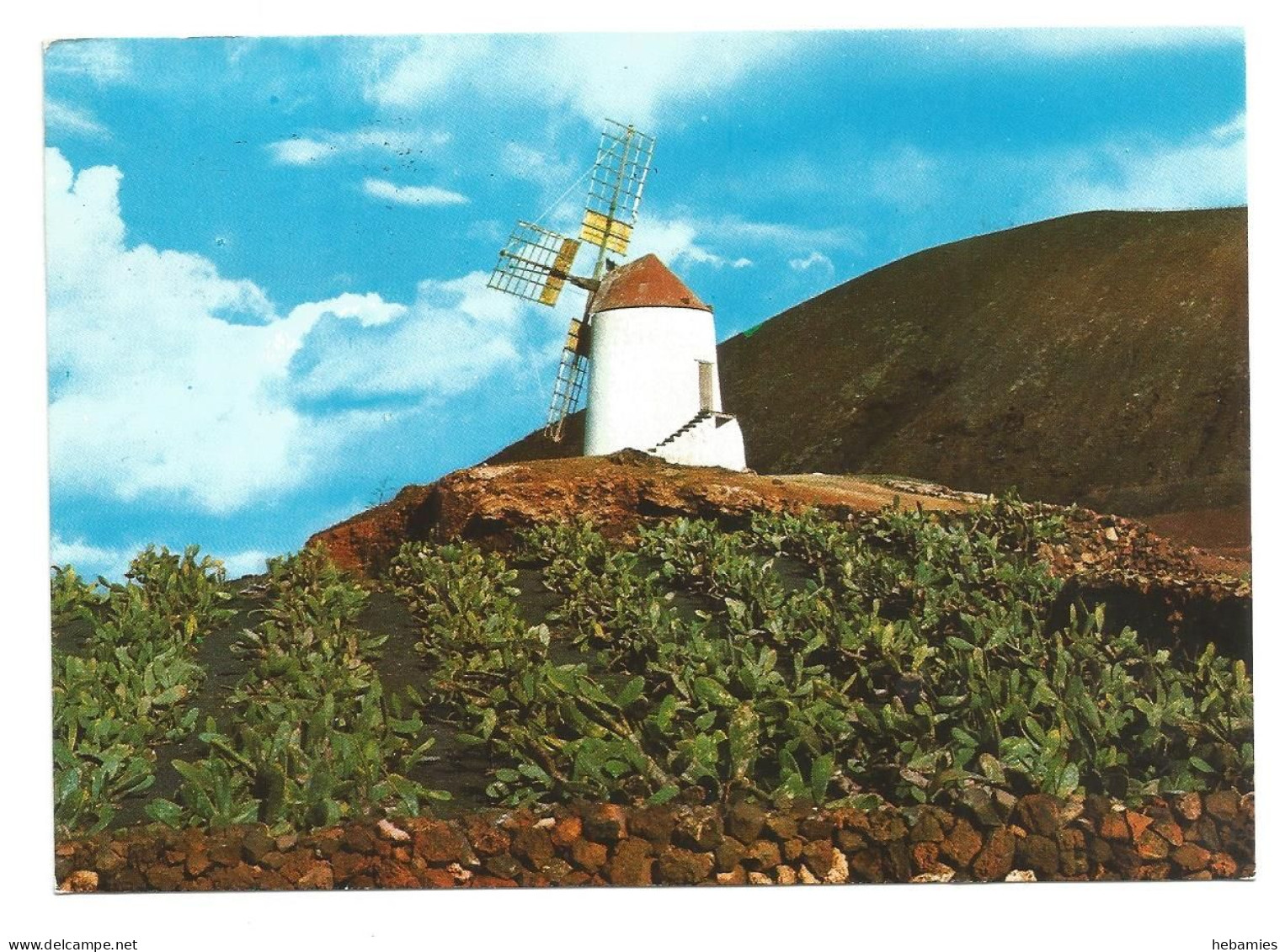 TYPICAL WINDMILL - LANZAROTE - CANARY ISLANDS -  SPAIN - - Molinos De Viento