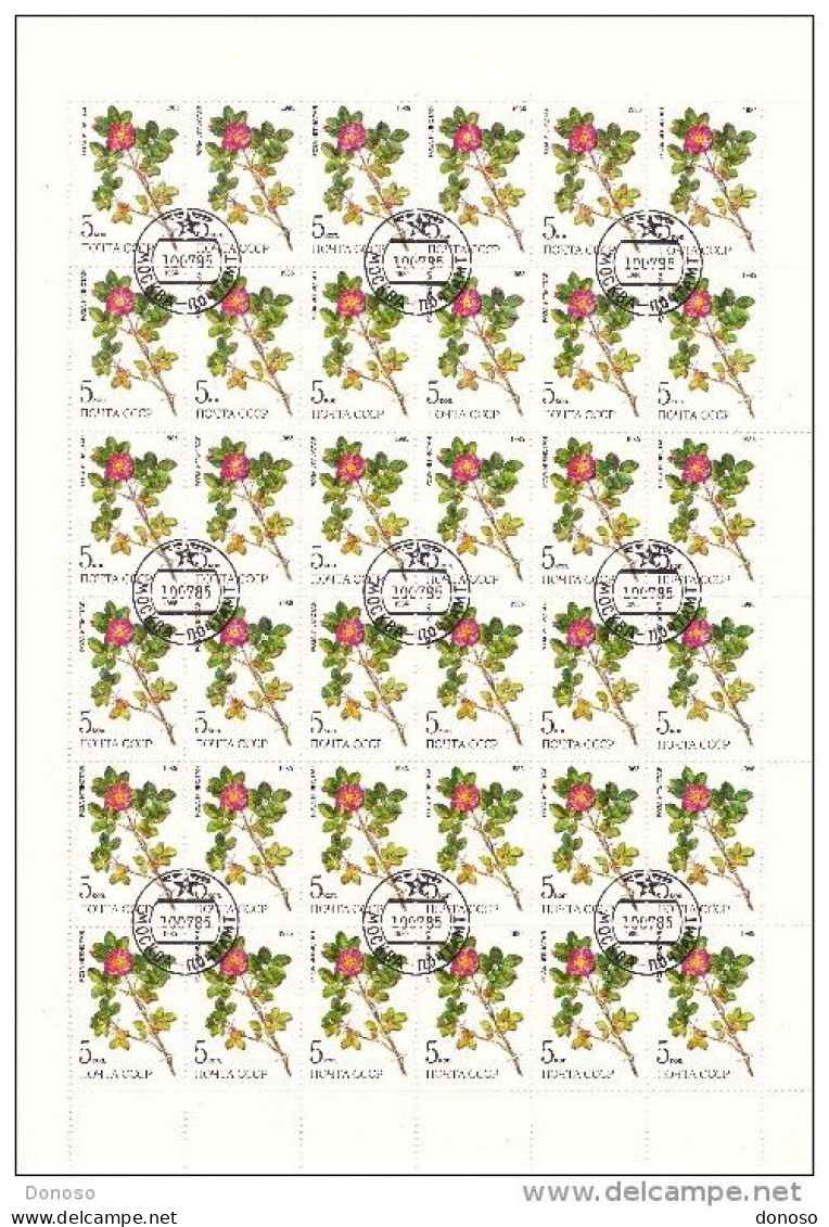 URSS 1985 PLANTES  3 Planches De 36 Yvert 5232-5243, Michel 5528-5530 Oblitéré, Used; Cote Yv 21.60 Euros - Full Sheets