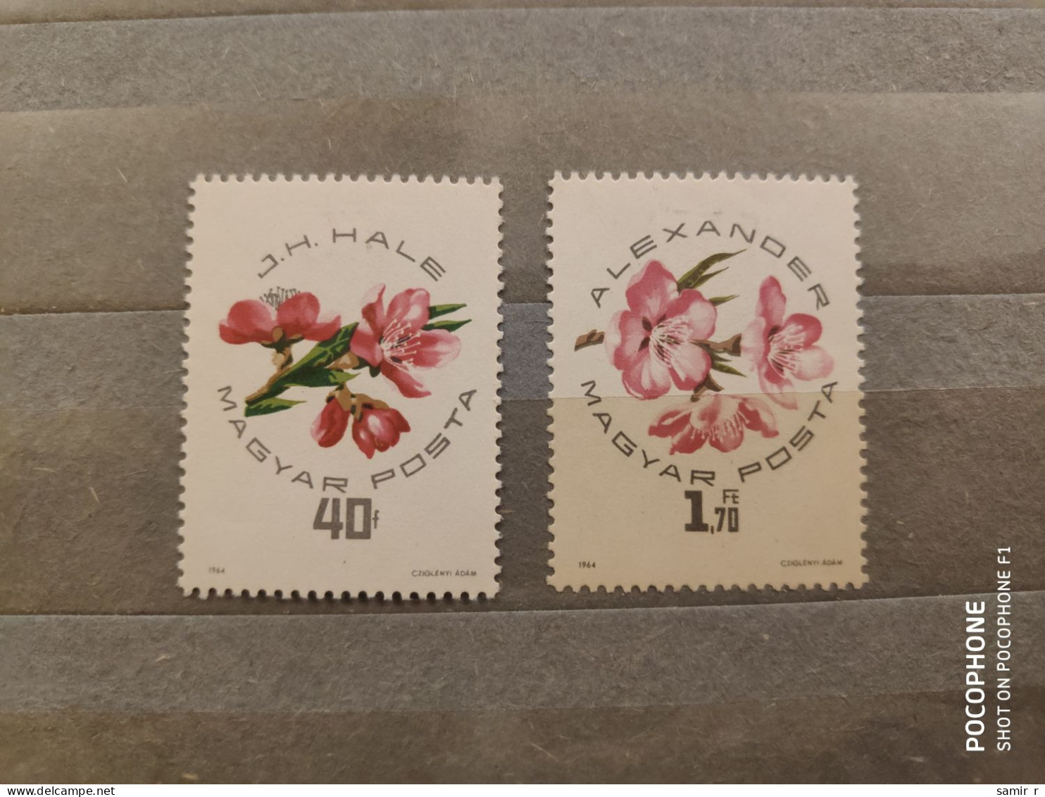1964	Hungary	Flowers (F89) - Nuevos