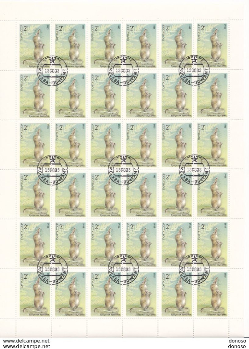 URSS 1985 ANIMAUX MUSARAIGNE Planche De 36 Yvert 5240, Michel 5537 Oblitéré, Used; Cote Yv 7.20 Euros - Full Sheets