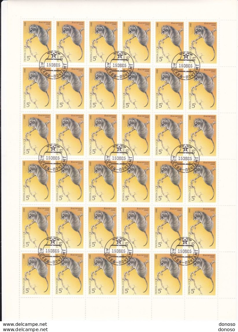 URSS 1985 ANIMAUX LEROT Planche De 36 Yvert 5242, Michel 5539 Oblitéré, Used; Cote Yv 7.20 Euros - Fogli Completi