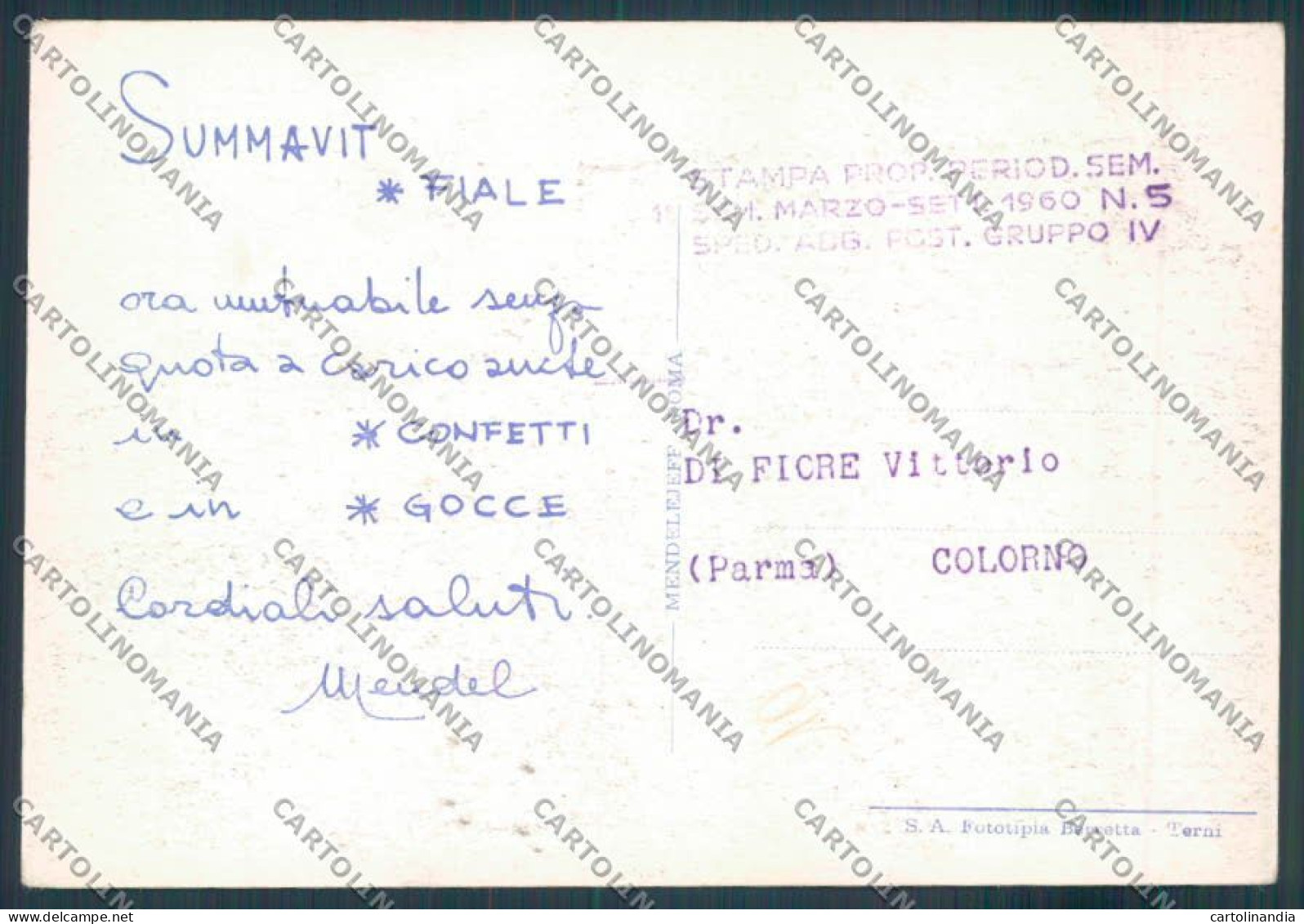 Frosinone Montecassino Pubblicità FG Cartolina ZF7267 - Frosinone