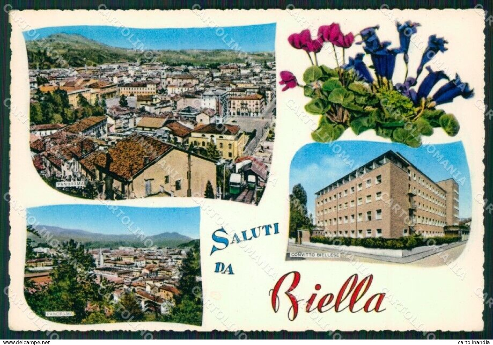 Biella Città Saluti Da Foto FG Cartolina ZK6700 - Biella