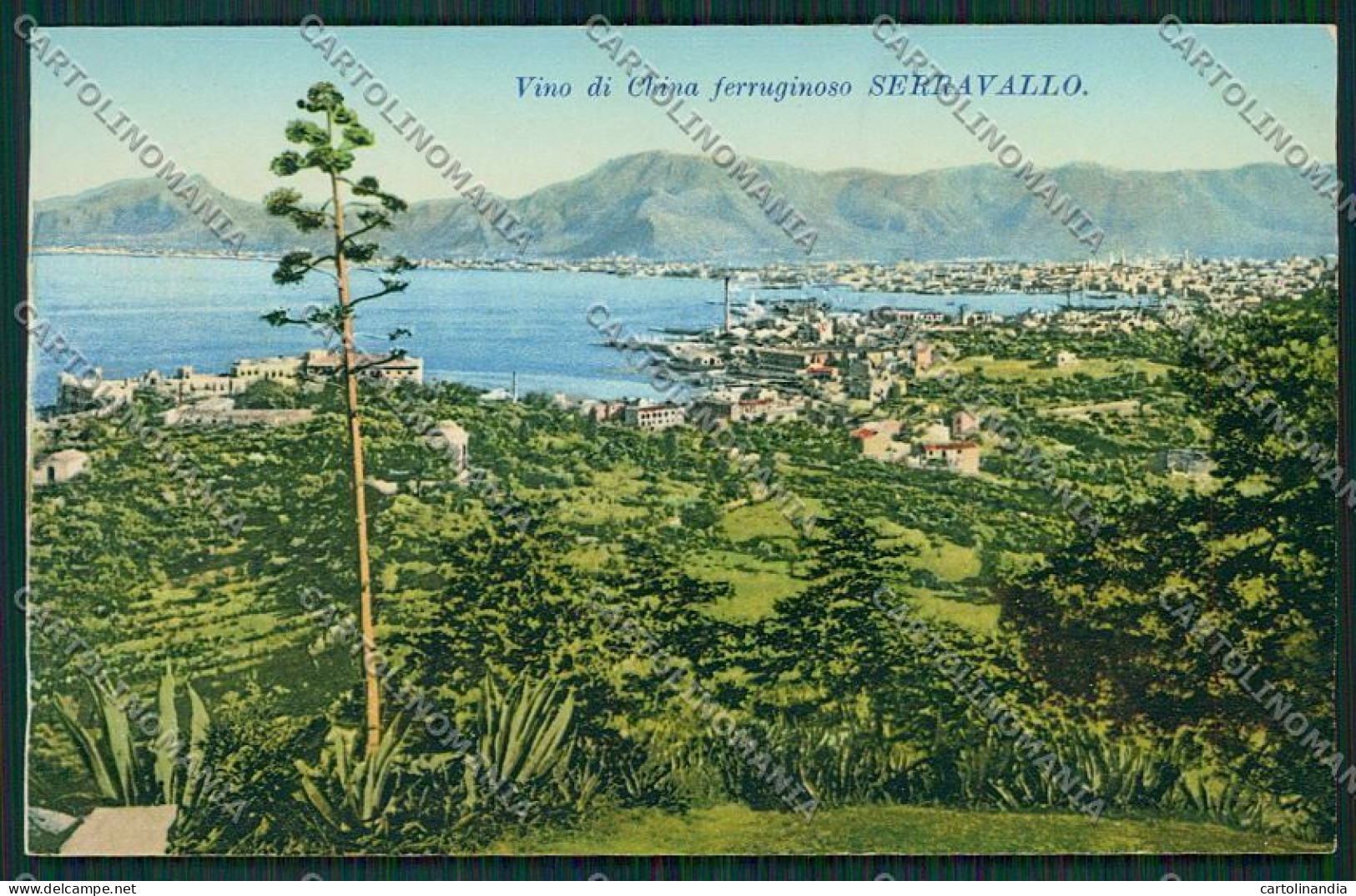 Trieste Vino China Ferruginoso Serravallo Pubblicitaria Palermo Cartolina ZC0966 - Trieste