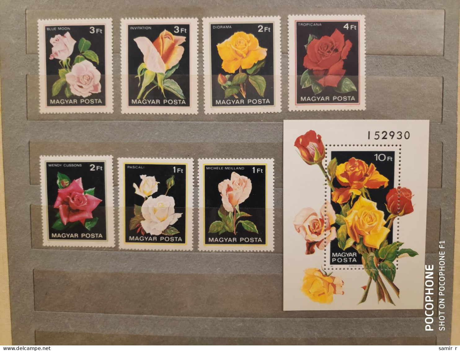 1982	Hungary	Flowers (F89) - Unused Stamps