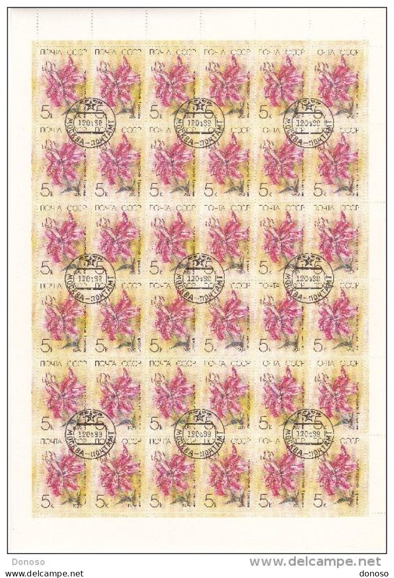 URSS 1989 FLEUR, LYS 2 Planches De 36 Yvert 5610-5611, Michel 5931-5932 Oblitéré, Used; Cote Yv 14.40 Euros - Hojas Completas