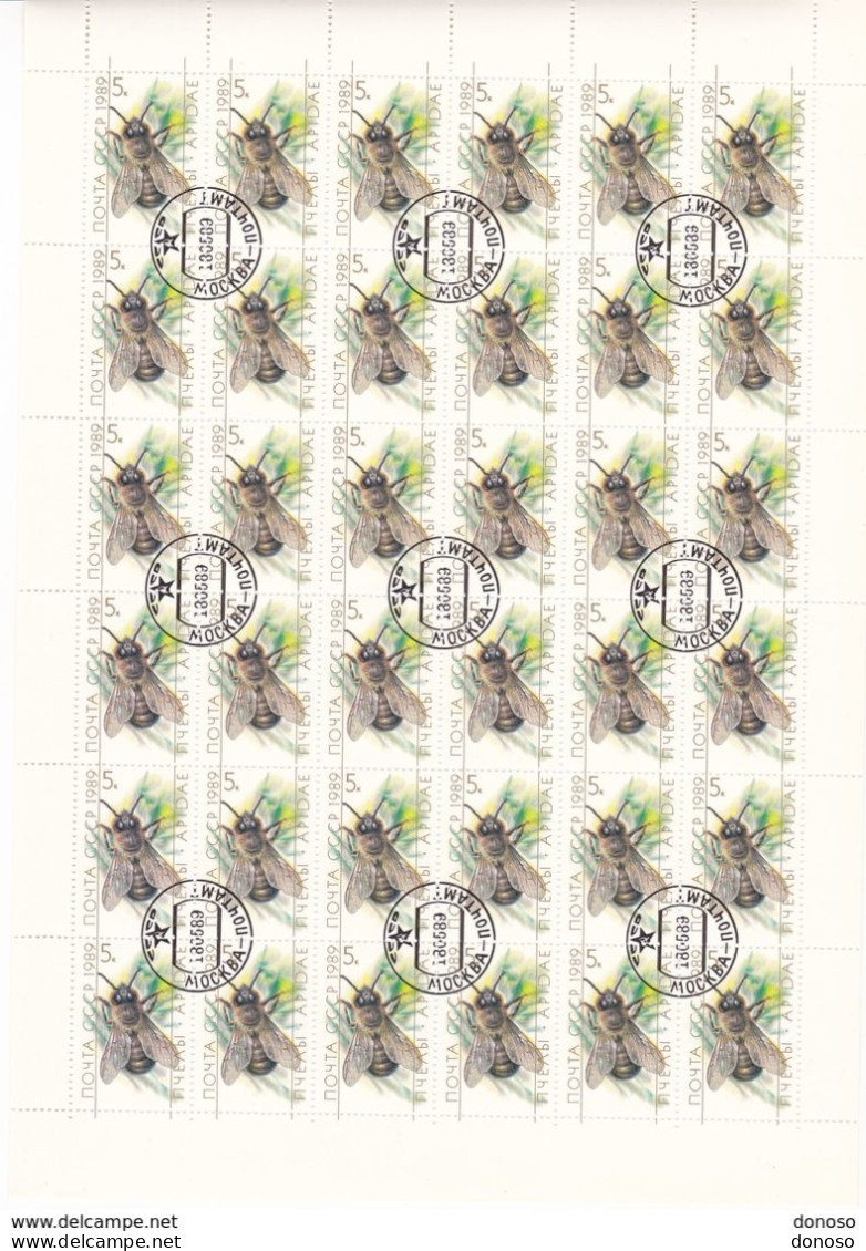 URSS 1989 INSECTES 2 Planches De 36 Yvert 5627-5628, Michel 5950-5951 Oblitéré, Used, Cote :yv 14.40 Euros - Full Sheets