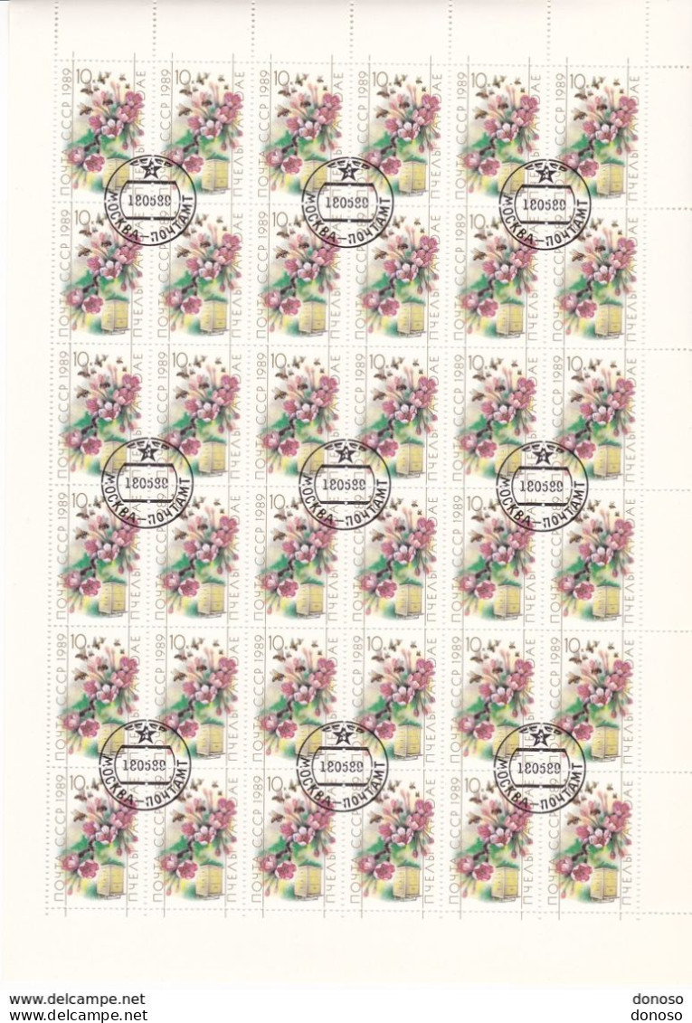 URSS 1989 INSECTES 2 Planches De 36 Yvert 5627-5628, Michel 5950-5951 Oblitéré, Used, Cote :yv 14.40 Euros - Full Sheets