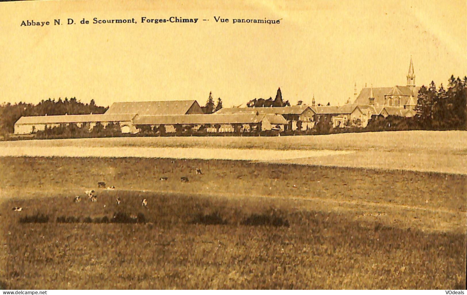 Belgique - Hainaut - Chimay - Abbaye N.-D. De Scourmont, Forges-Chimay - Vue Panoramique - Chimay