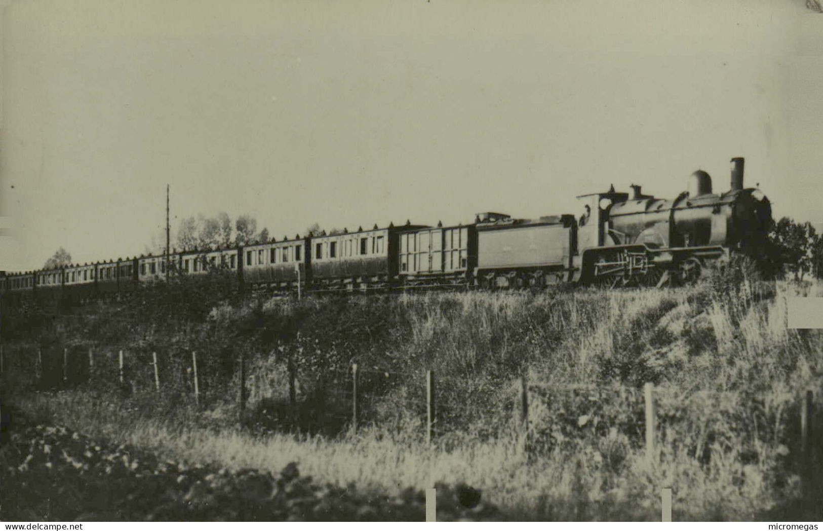 Reproduction - Train à Identifier - Ternes