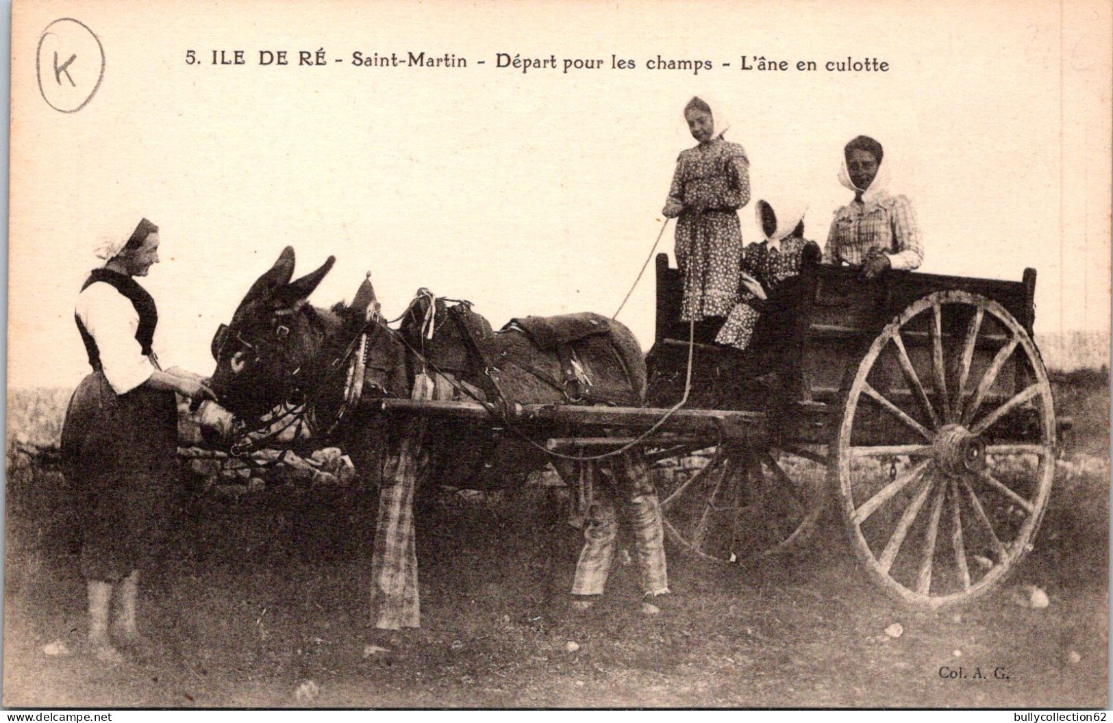 SELECTION -  ILE DE RE  -  Départ Pour Les Champs - L'âne En Culotte - Ile De Ré