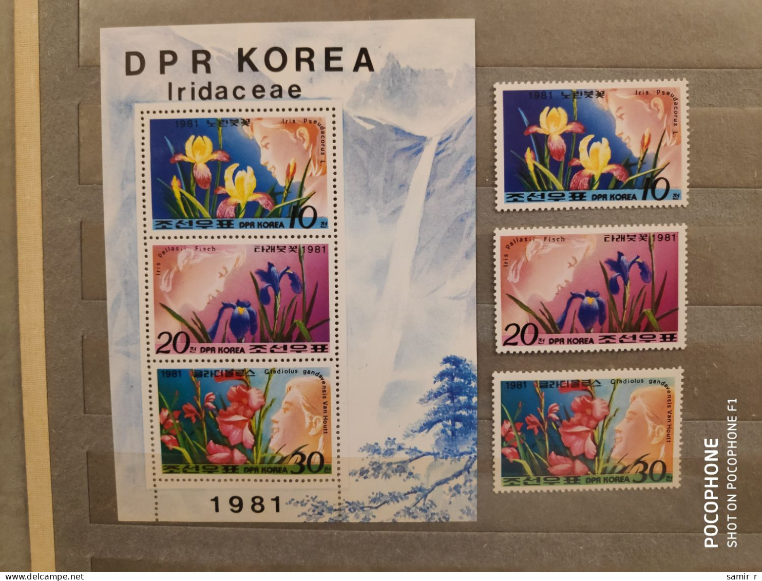 1981	Korea	Flowers (F89) - Corée Du Nord