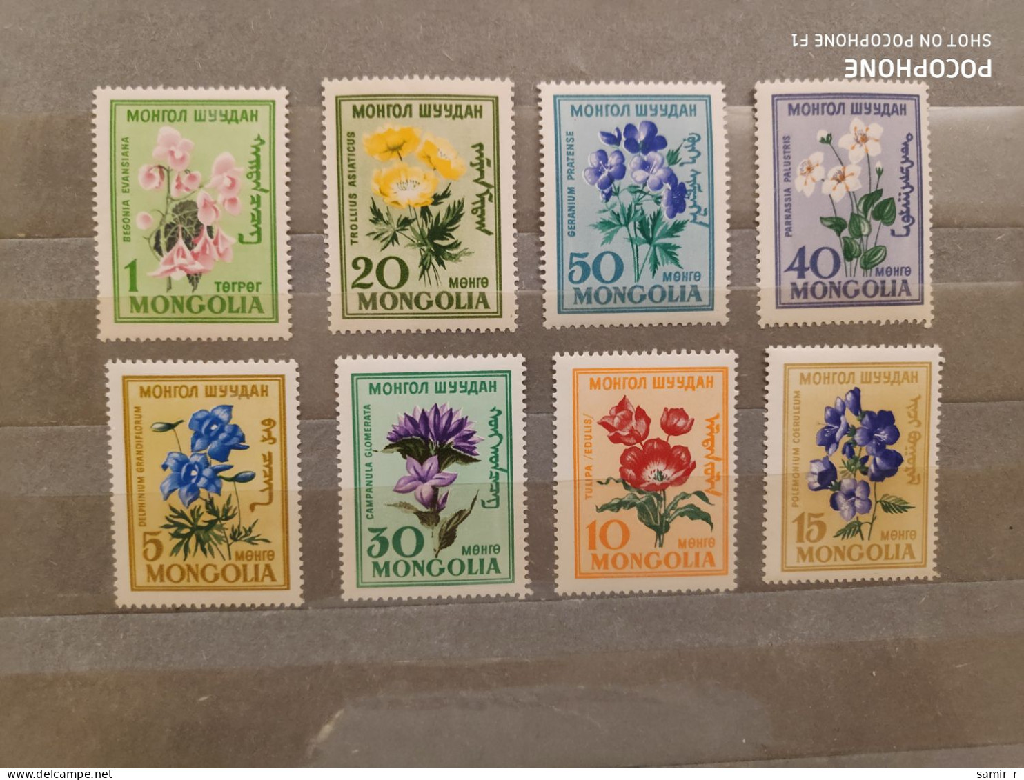 1960	Mongolia	Flowers (F89) - Mongolie