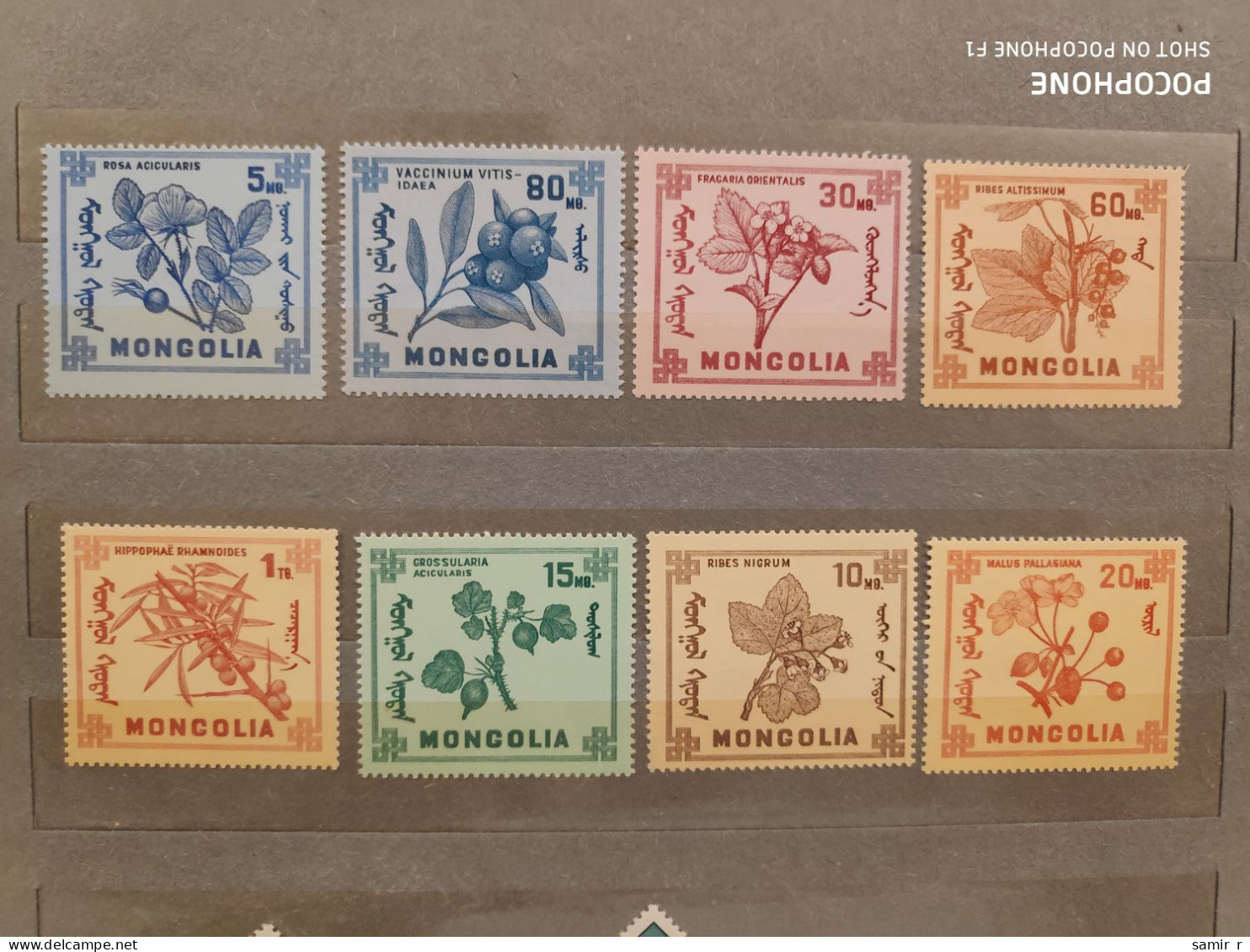 1968	Mongolia	Flowers (F89) - Mongolei