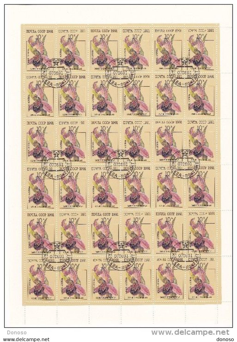 URSS 1991 FLEURS ORCHIDEES Planche De 36 YVERT 5853, Michel 6194 Oblitéré, Used  Cote Yv 7.20 Euros - Feuilles Complètes