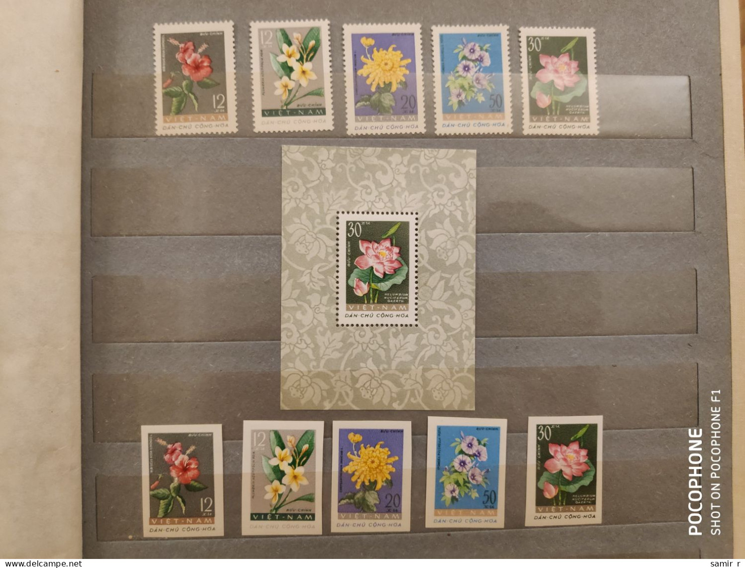 1962	Vietnam	Flowers (F89) - Vietnam