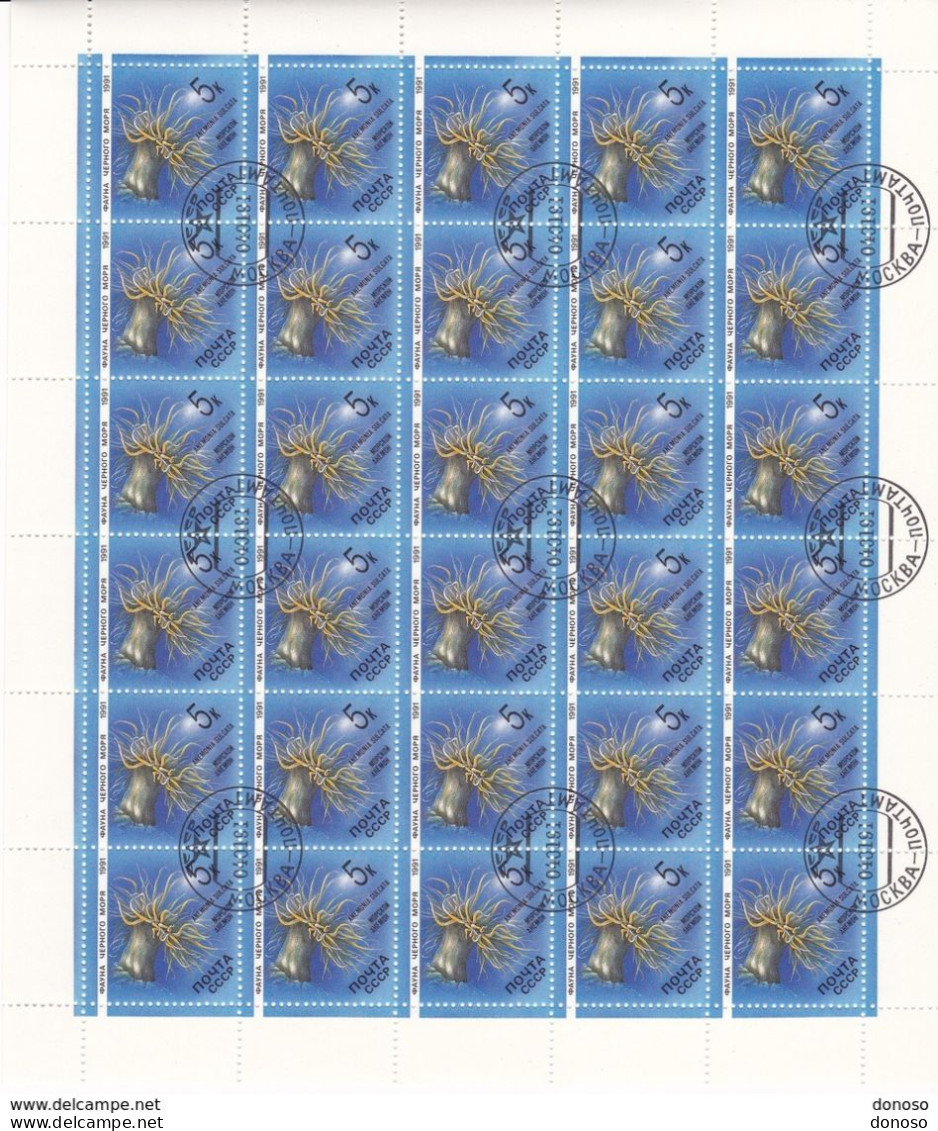 URSS 1991 ANEMONE Planche De 30 Yvert 5819, Michel 6159 Oblitéré, Used; Cote Yv 6 Euros - Ganze Bögen