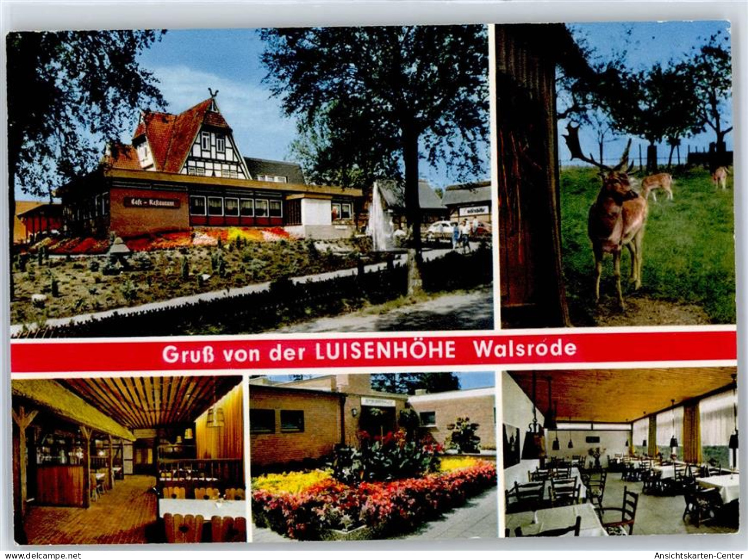 51374204 - Walsrode - Walsrode