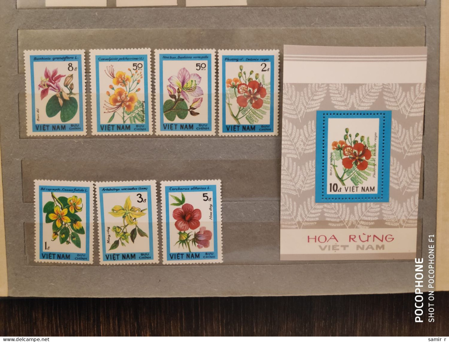 1984	Vietnam	Flowers (F89) - Vietnam