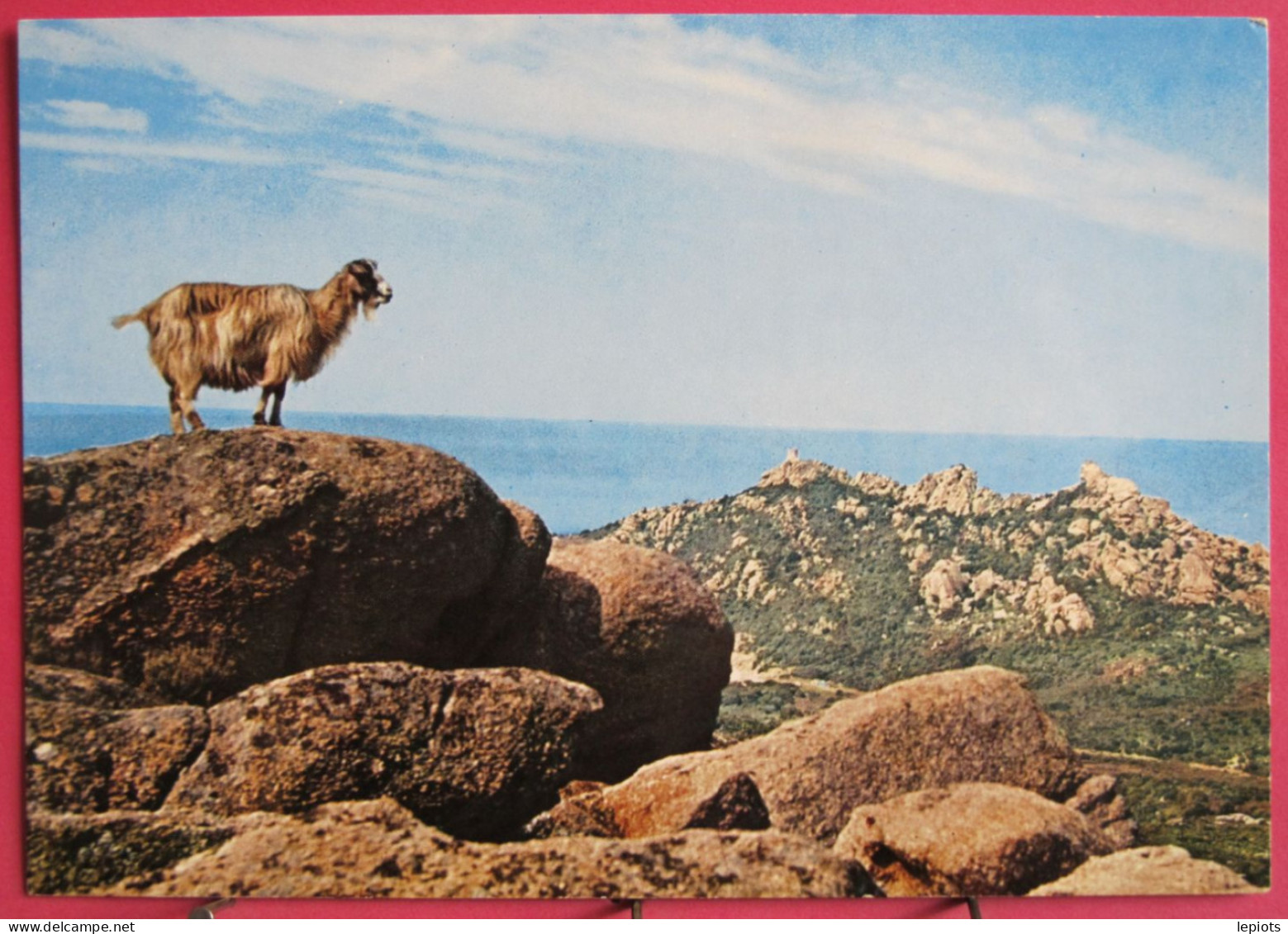 20 - Corse - Chèvre Sur Les Rochers - Le Lion  Rocapina (entre Sartène Et Ajaccio) - Sartene