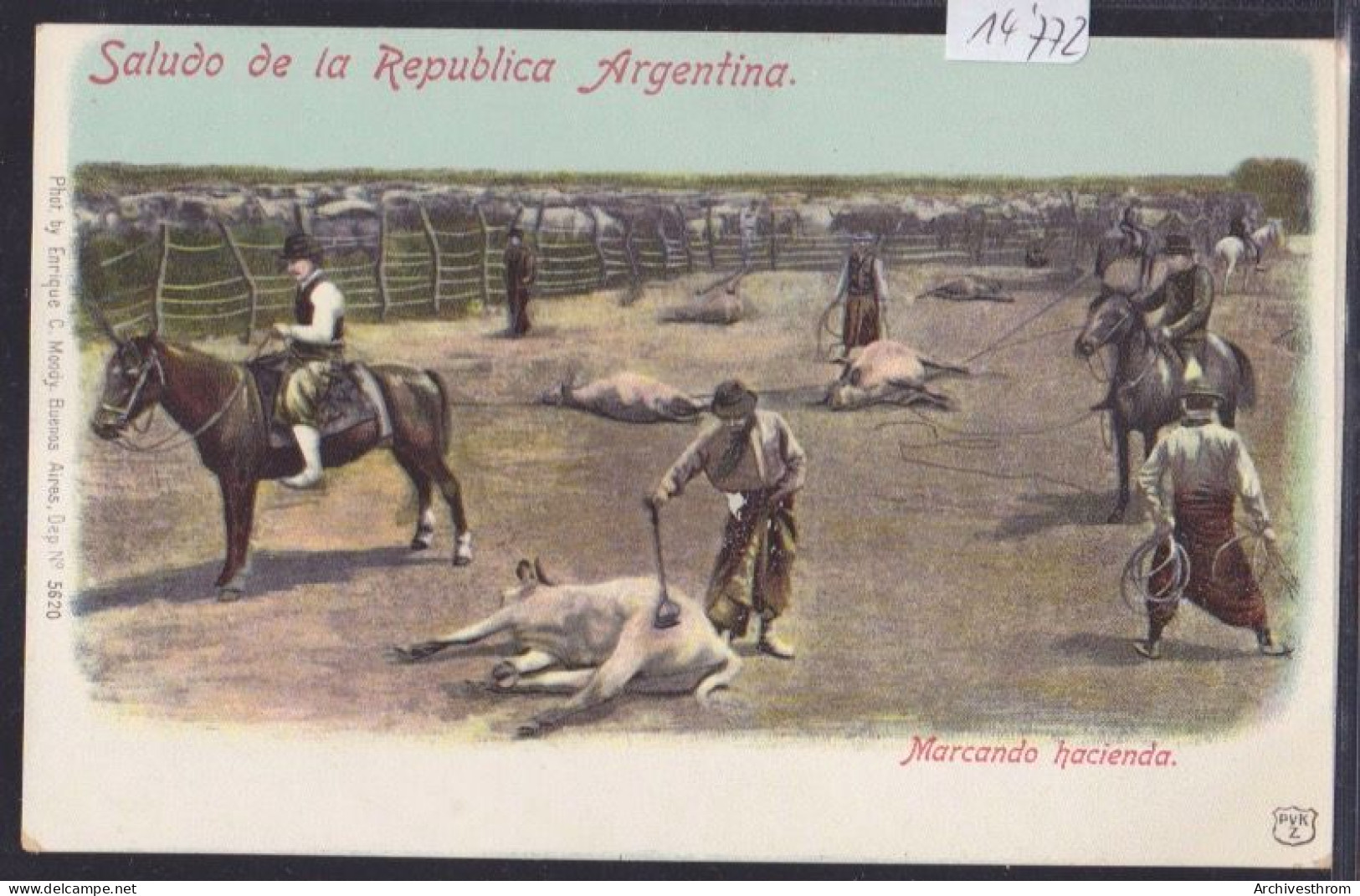 Saludo De La Republica Argentina - Marcando Hacienda - Coloreado (14'772) - Argentina