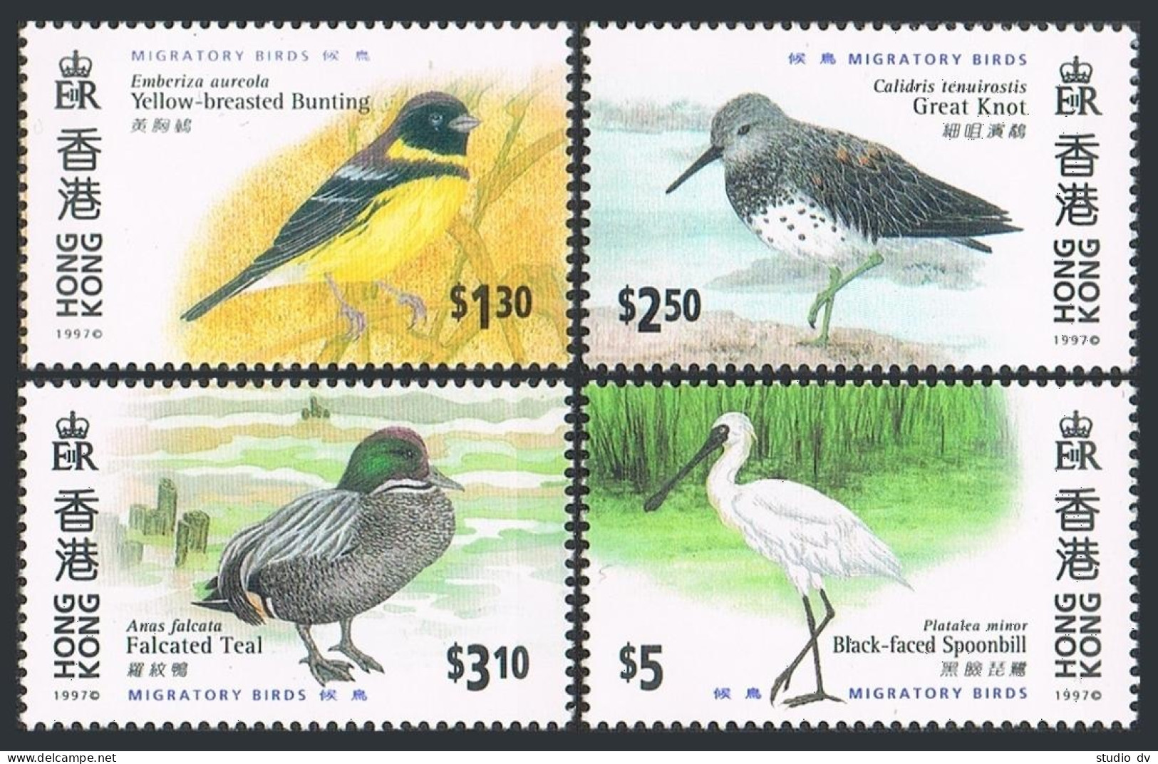 Hong Kong 784-787,MNH.Michel 811-814. Birds 1997.Bunting,Knot,Teal,Spoonbill. - Ongebruikt