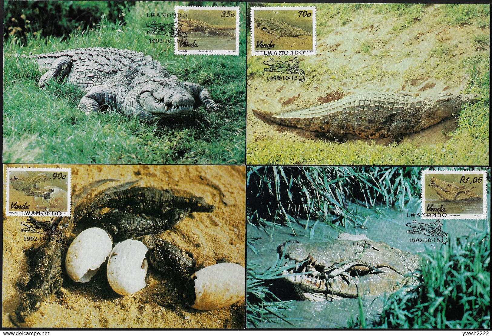 Venda 1992 Y&T 245 à 248 Sur Carte Maximum. Crocodile Du Nil, Crocodylus Niloticus - Autres & Non Classés