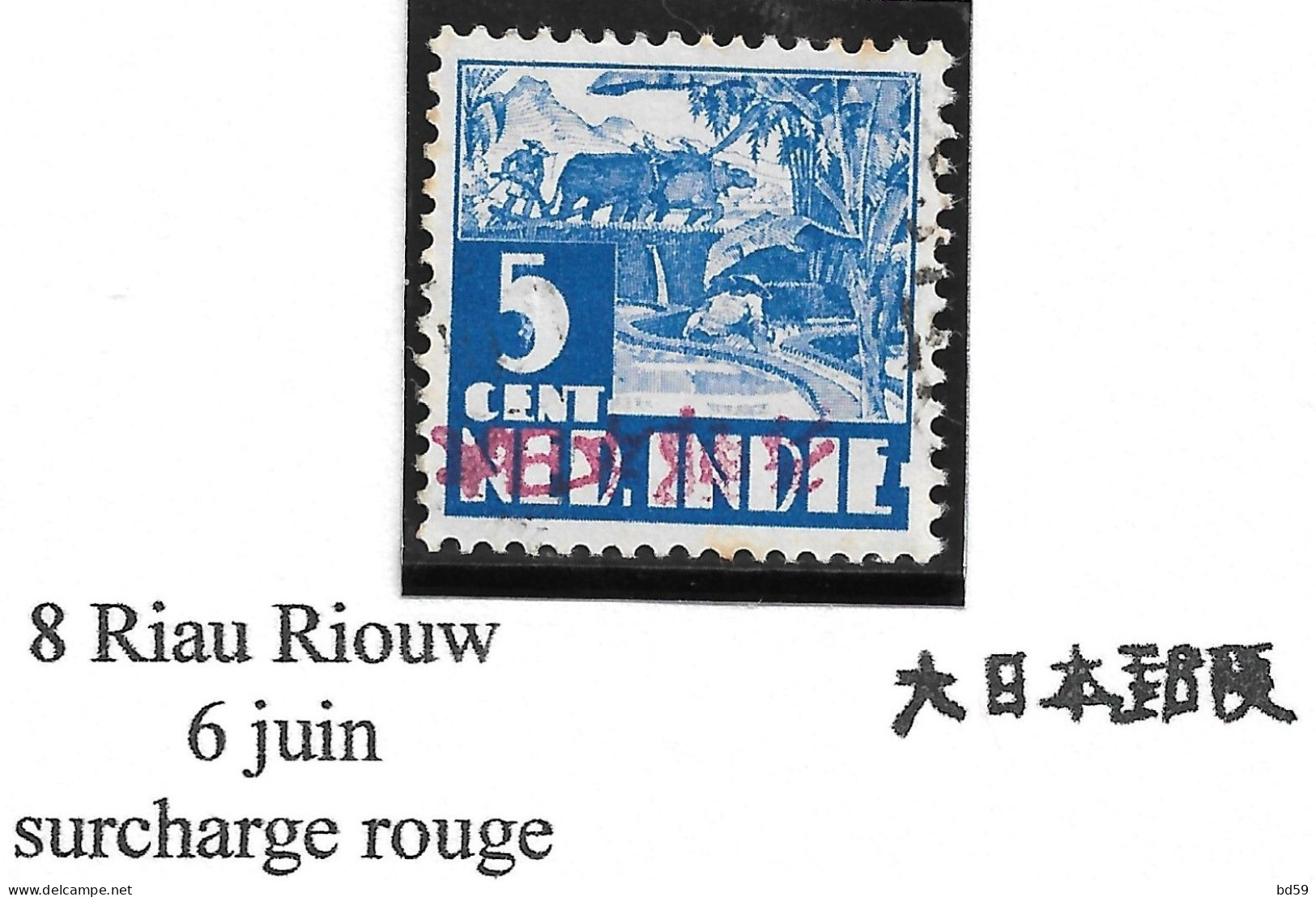 Indes Néerlandaises Occupation Japonaise Surcharge De RIAU - RIOUW - India Holandeses