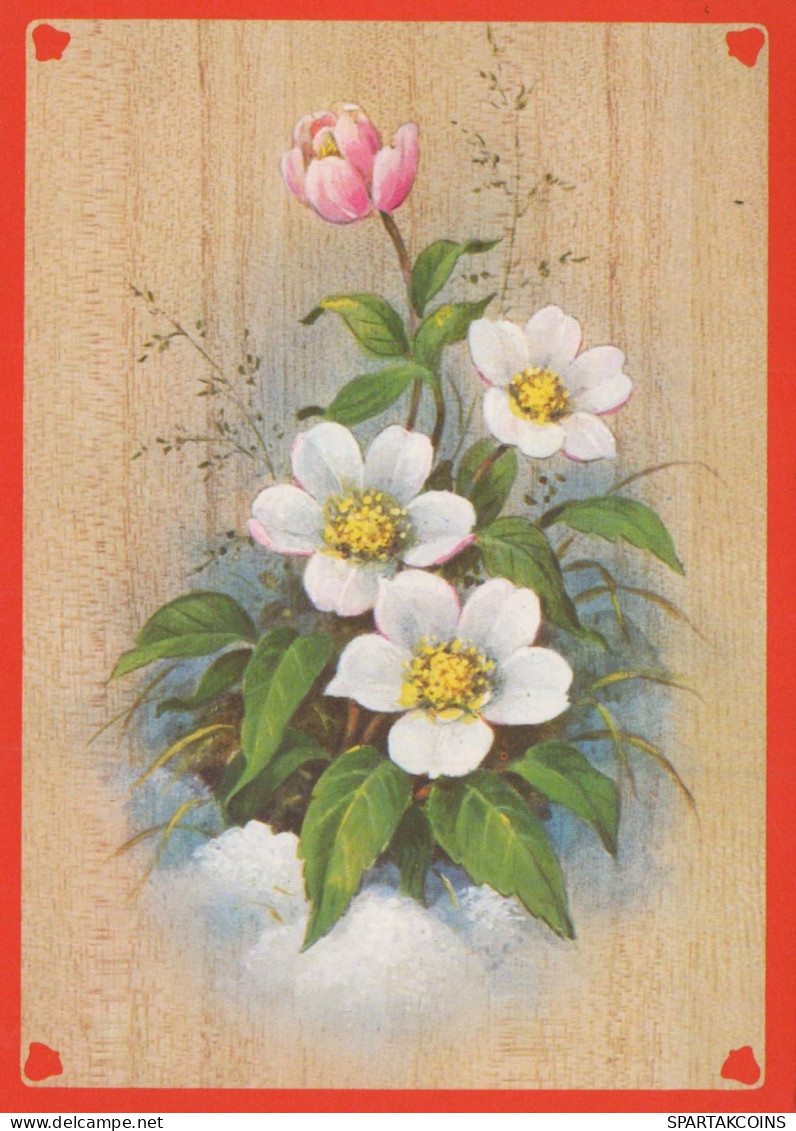 FLOWERS Vintage Ansichtskarte Postkarte CPSM #PAS363.A - Fiori