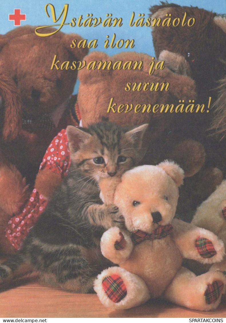 GATO GATITO Animales Vintage Tarjeta Postal CPSM #PBQ939.A - Cats
