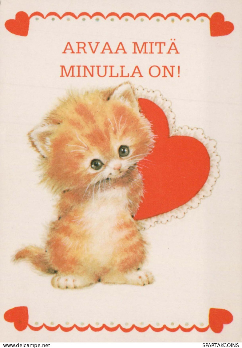 GATO GATITO Animales Vintage Tarjeta Postal CPSM #PBQ824.A - Cats