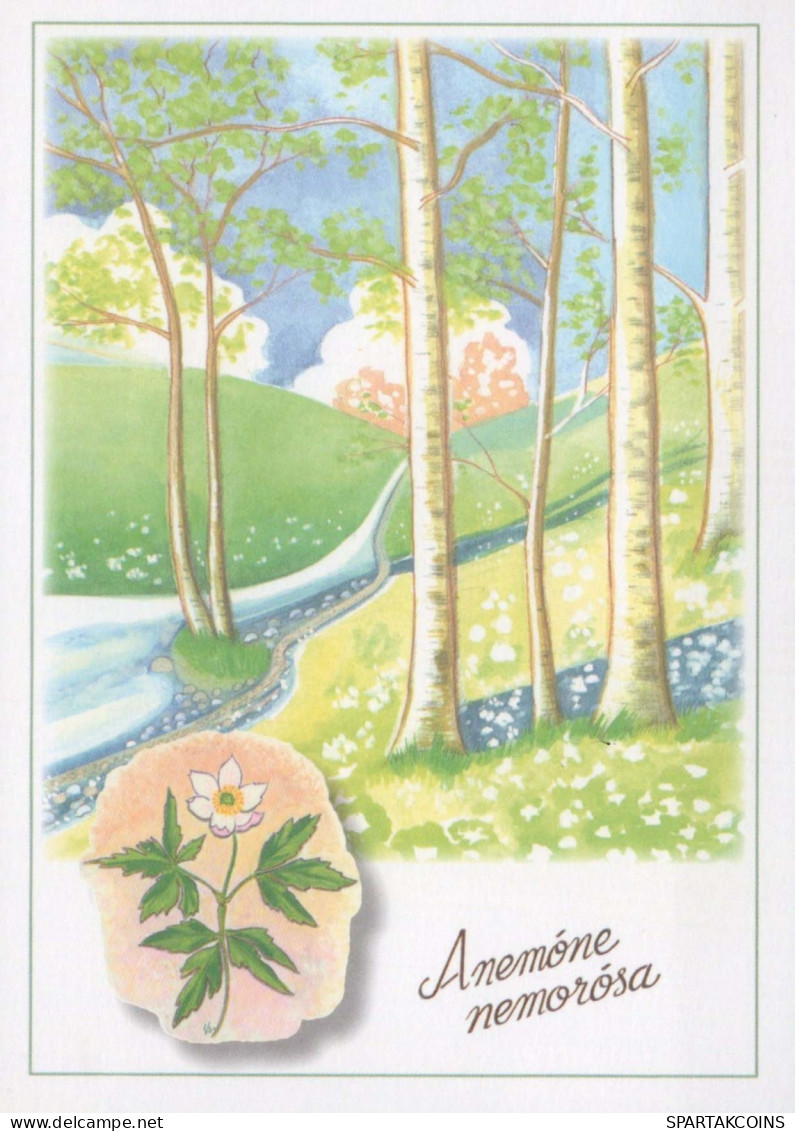 FIORI Vintage Cartolina CPSM #PBZ116.A - Fleurs