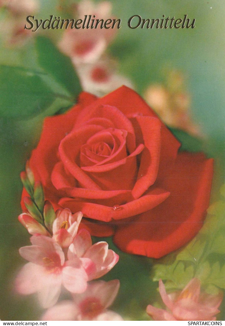 FLOWERS Vintage Postcard CPSM #PAS242.GB - Fleurs
