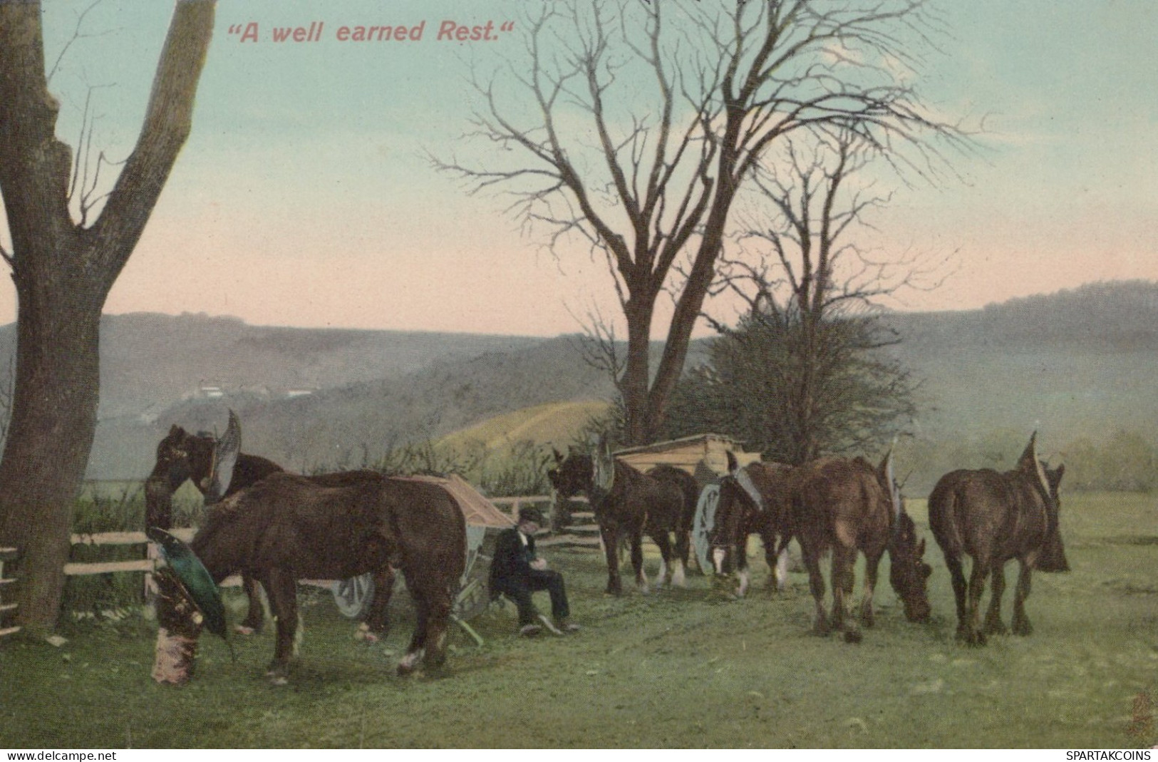 ESEL Tiere Vintage Antik Alt CPA Ansichtskarte Postkarte #PAA147.A - Donkeys