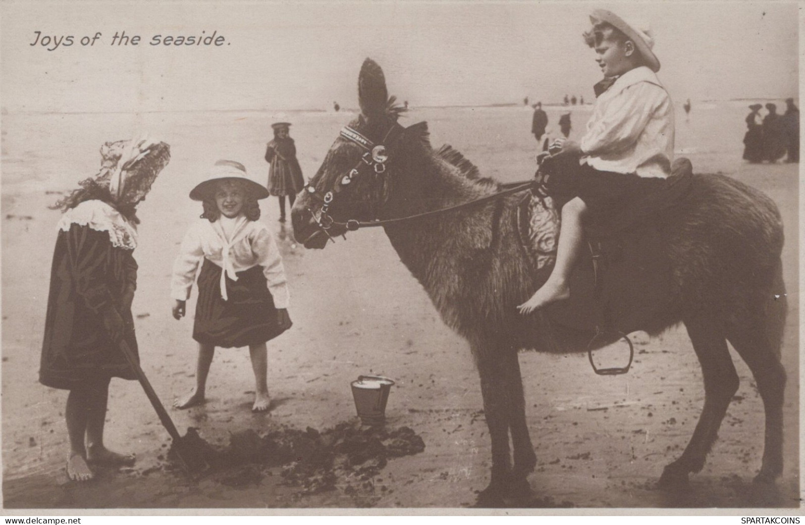 ASINO Animale BAMBINO Vintage CPA Cartolina #PAA078.A - Donkeys