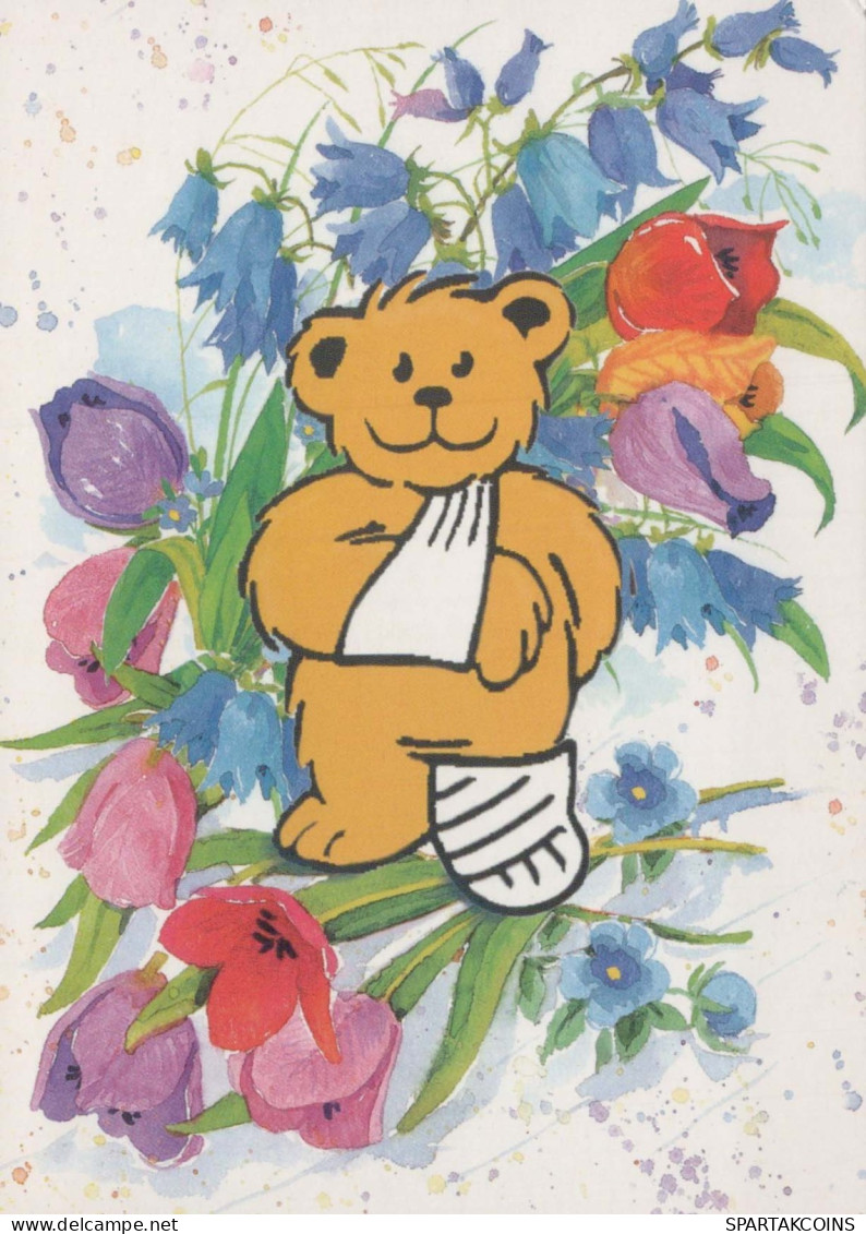 BEAR Animals Vintage Postcard CPSM #PBS371.GB - Bears