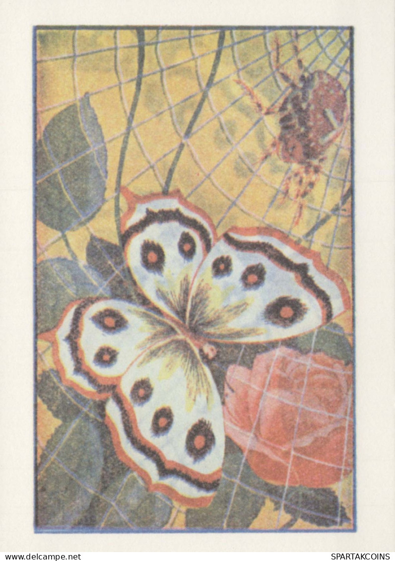 BUTTERFLIES Animals Vintage Postcard CPSM #PBS437.GB - Farfalle