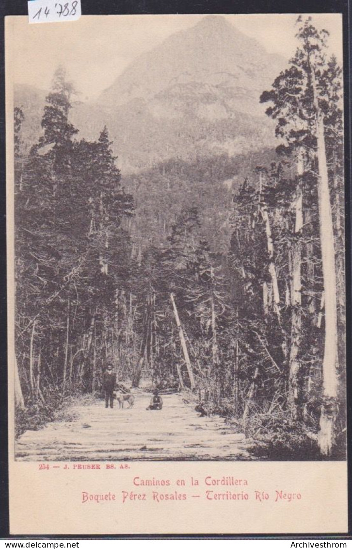 Republica Argentina - Caminos En La Cordillera - Boquete Pérez Rosales - Territorio Rio Negro (14'788) - Argentine