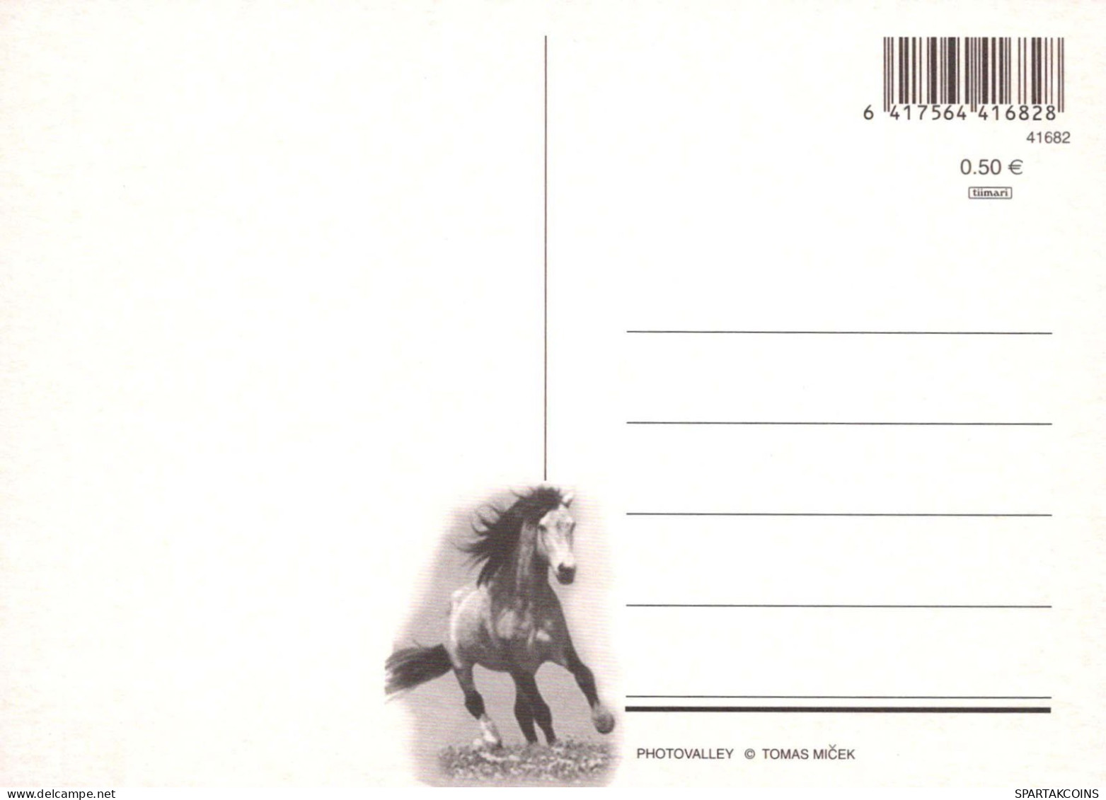 CABALLO Animales Vintage Tarjeta Postal CPSM #PBR915.ES - Pferde