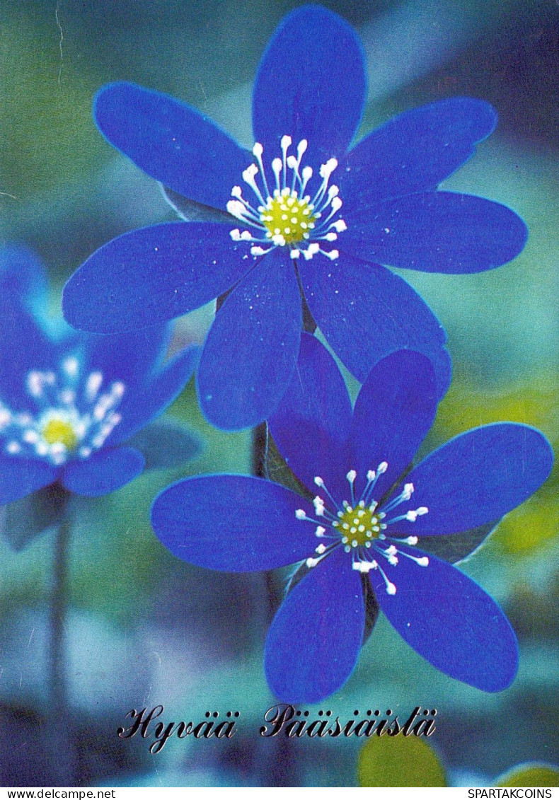 FLOWERS Vintage Ansichtskarte Postkarte CPSM #PAR404.DE - Blumen