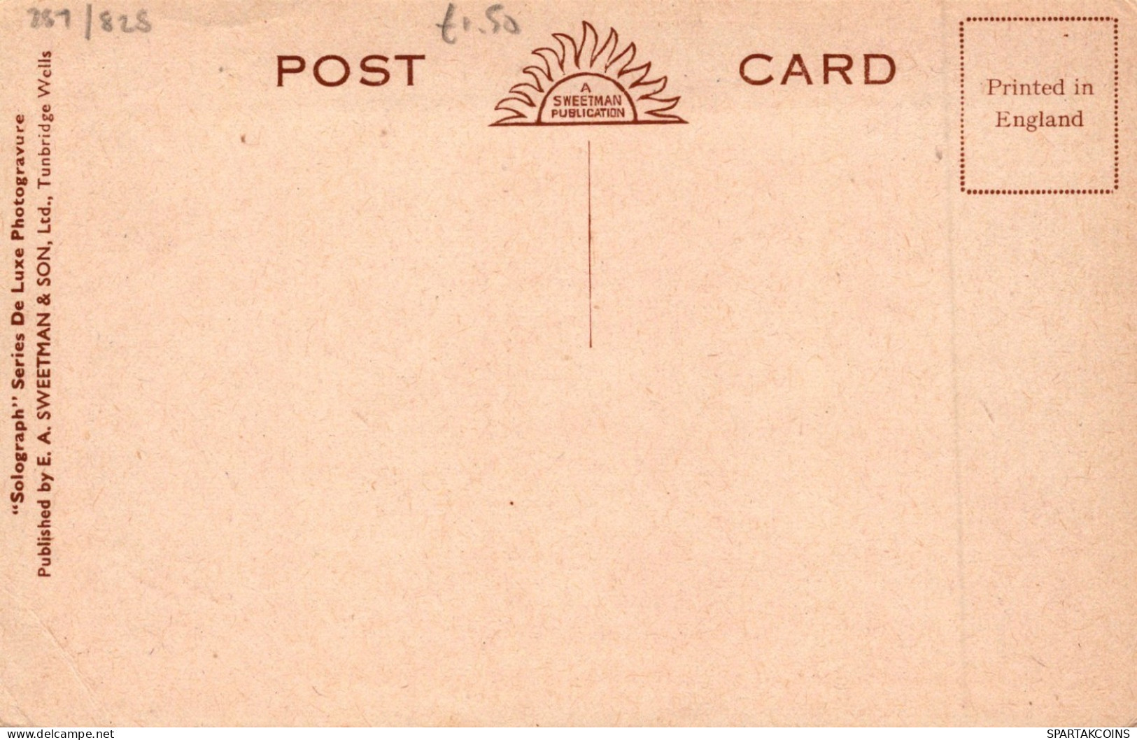 ÂNE Animaux Vintage Antique CPA Carte Postale #PAA279.FR - Donkeys