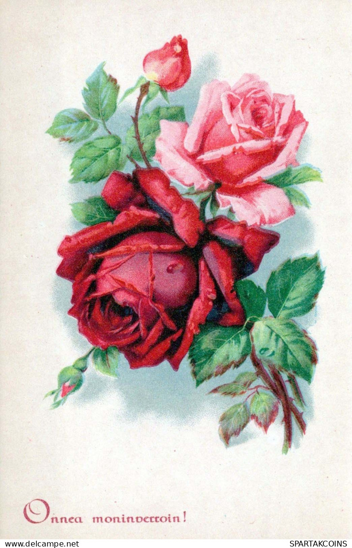 FLEURS Vintage Carte Postale CPSMPF #PKG009.FR - Blumen