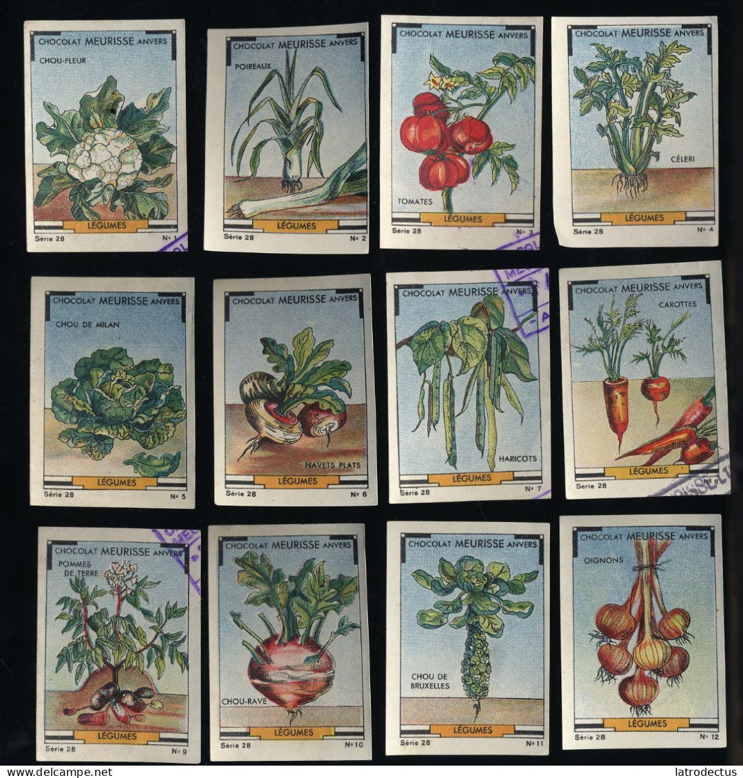 Meurisse - Ca 1930 - 28 - Les Légumes, Vegetables, Groenten (full Serie) - Sonstige & Ohne Zuordnung