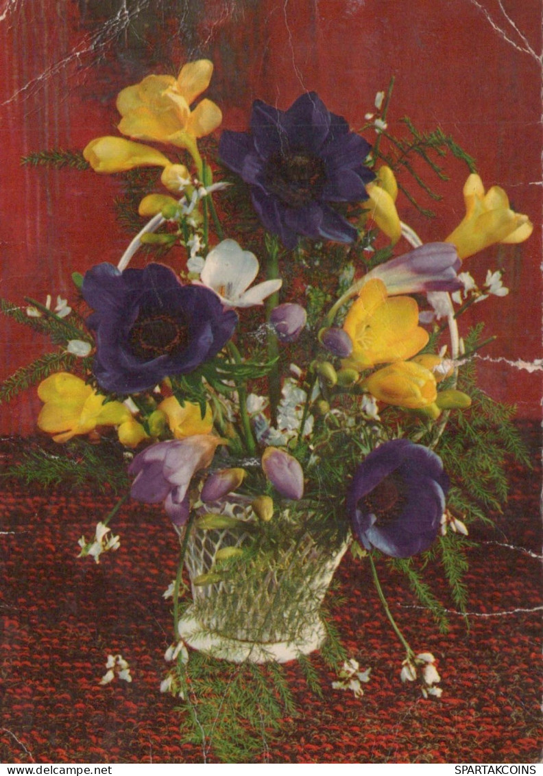 FLEURS Vintage Carte Postale CPSM #PBZ411.FR - Blumen