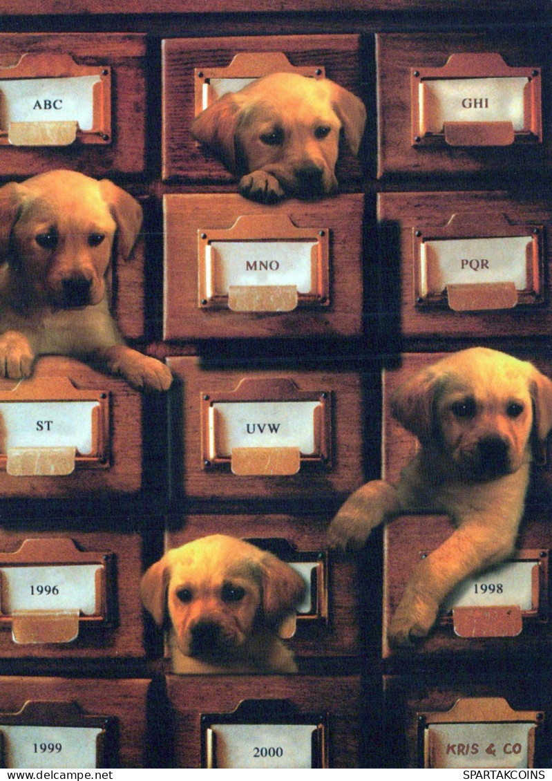 CHIEN Animaux Vintage Carte Postale CPSM #PBQ612.FR - Dogs