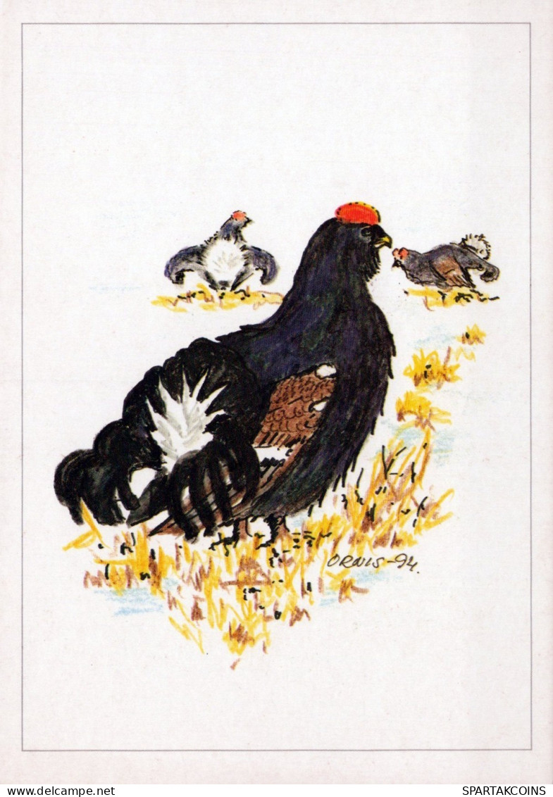 UCCELLO Animale Vintage Cartolina CPSM #PAN208.IT - Birds