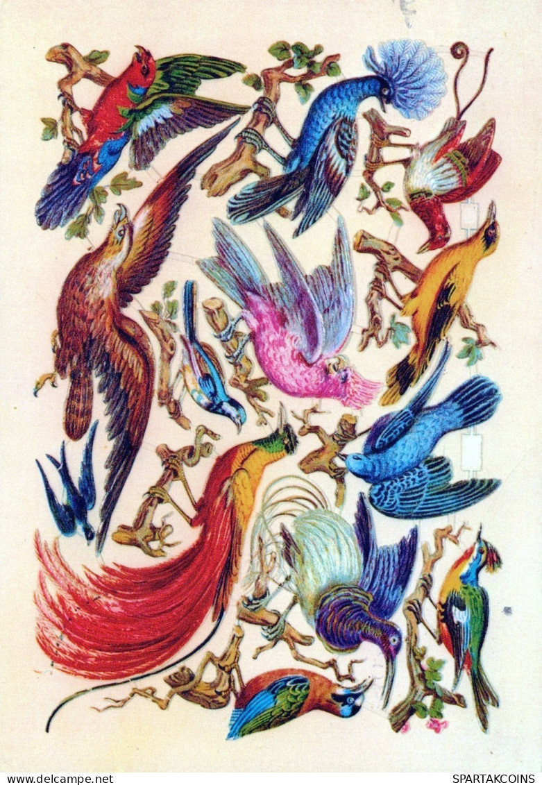 UCCELLO Animale Vintage Cartolina CPSM #PAN330.IT - Birds