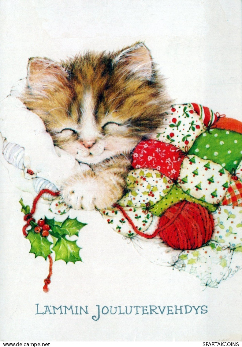 GATTO KITTY Animale Vintage Cartolina CPSM #PAM581.IT - Cats