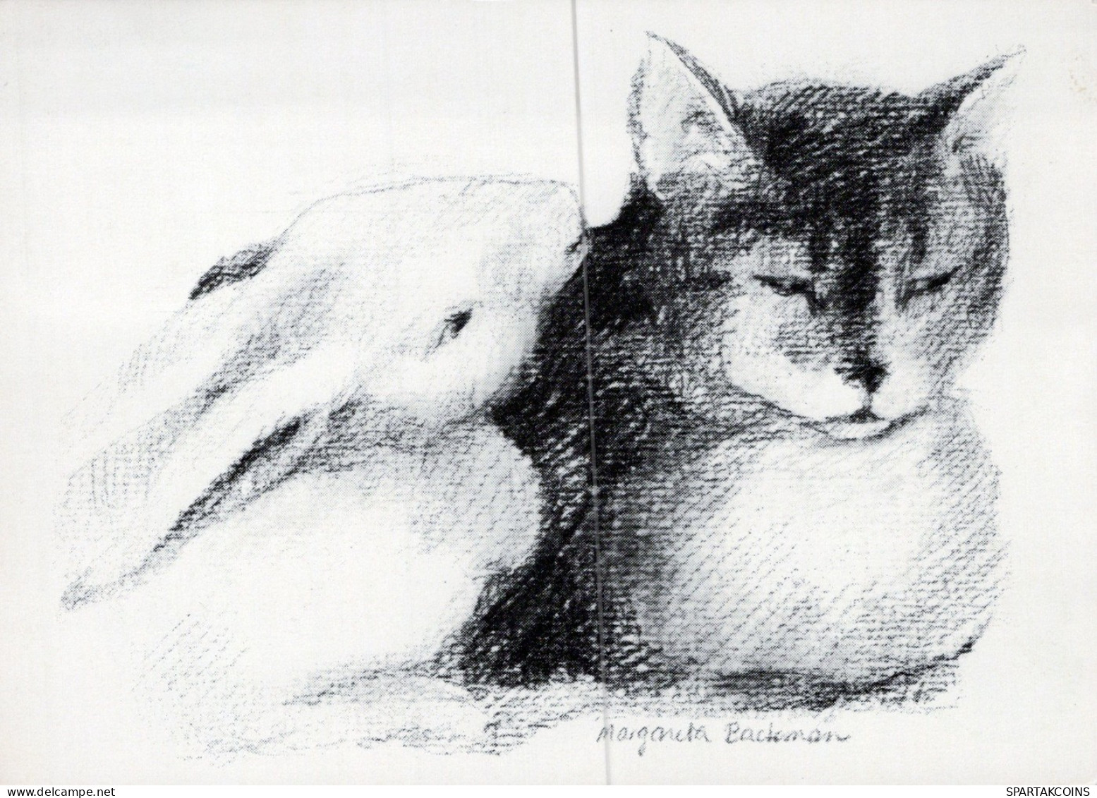 GATTO KITTY Animale Vintage Cartolina CPSM #PAM393.IT - Cats